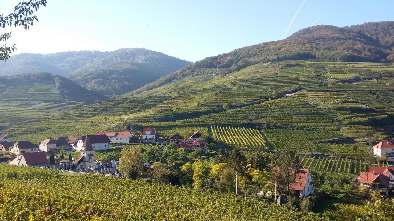 Отель Lugerfarm Мелк Экстерьер фото
